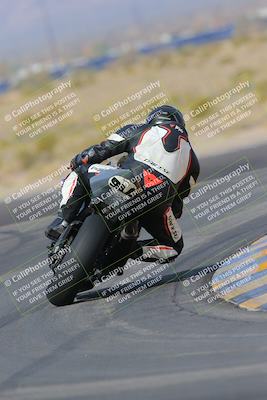 media/Mar-12-2023-SoCal Trackdays (Sun) [[d4c8249724]]/Turn 11 Backside (10am)/